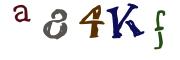 圖片的 CAPTCHA