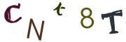圖片的 CAPTCHA