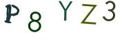 圖片的 CAPTCHA