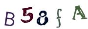 圖片的 CAPTCHA