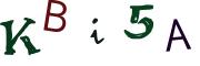 圖片的 CAPTCHA