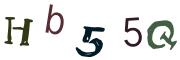 圖片的 CAPTCHA