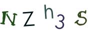圖片的 CAPTCHA