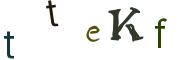圖片的 CAPTCHA
