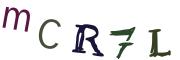 圖片的 CAPTCHA