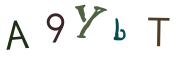 圖片的 CAPTCHA