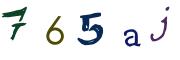 圖片的 CAPTCHA