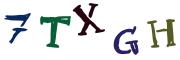 圖片的 CAPTCHA