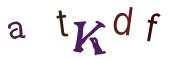 圖片的 CAPTCHA