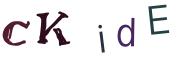 圖片的 CAPTCHA