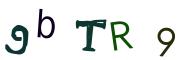 圖片的 CAPTCHA