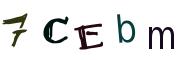 圖片的 CAPTCHA