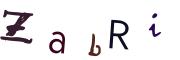 圖片的 CAPTCHA