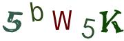 圖片的 CAPTCHA