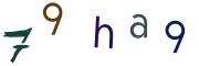 圖片的 CAPTCHA