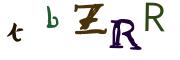 圖片的 CAPTCHA