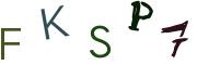 圖片的 CAPTCHA