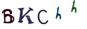 圖片的 CAPTCHA