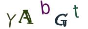 圖片的 CAPTCHA